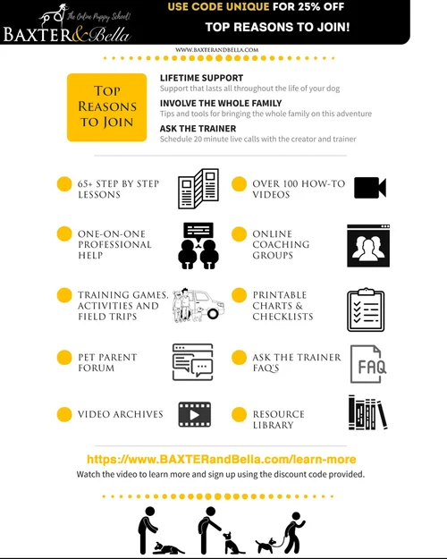 Baxter and Bella online puppy school — training resources for Bernedoodle and Aussiedoodle owners